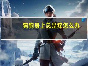 狗狗身上总是痒怎么办