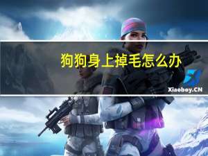 狗狗身上掉毛怎么办