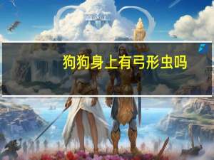 狗狗身上有弓形虫吗