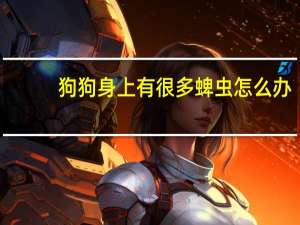 狗狗身上有很多蜱虫怎么办