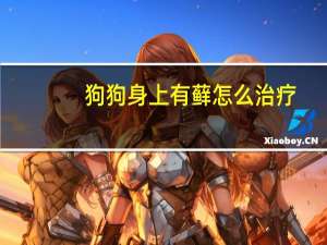 狗狗身上有藓怎么治疗