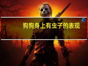 狗狗身上有虫子的表现
