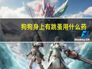 狗狗身上有跳蚤用什么药