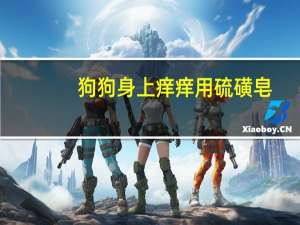 狗狗身上痒痒用硫磺皂