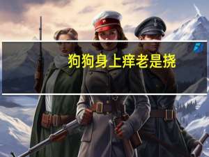 狗狗身上痒老是挠