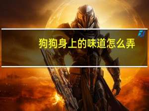 狗狗身上的味道怎么弄