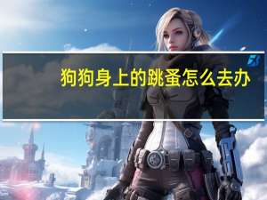 狗狗身上的跳蚤怎么去办