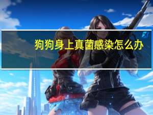 狗狗身上真菌感染怎么办