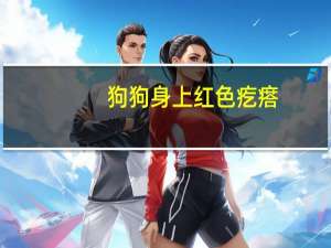 狗狗身上红色疙瘩