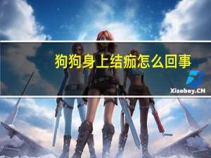 狗狗身上结痂怎么回事