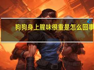 狗狗身上腥味很重是怎么回事