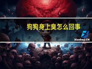 狗狗身上臭怎么回事