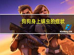 狗狗身上螨虫的症状