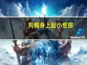 狗狗身上起小疙瘩