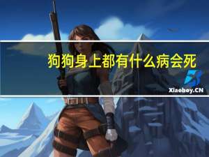 狗狗身上都有什么病会死