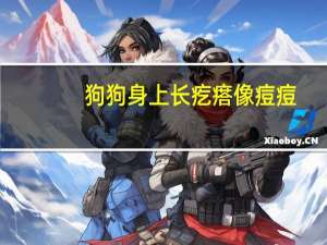 狗狗身上长疙瘩像痘痘