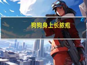 狗狗身上长脓疱