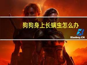 狗狗身上长螨虫怎么办