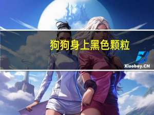 狗狗身上黑色颗粒