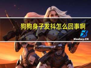 狗狗身子发抖怎么回事啊