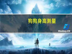 狗狗身高测量