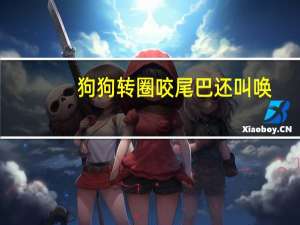 狗狗转圈咬尾巴还叫唤
