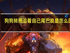 狗狗转圈追着自己尾巴咬是怎么回事