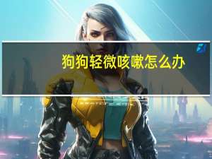 狗狗轻微咳嗽怎么办