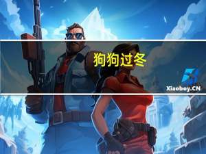狗狗过冬