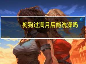 狗狗过满月后能洗澡吗