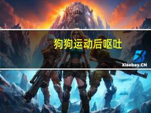 狗狗运动后呕吐