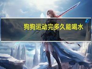 狗狗运动完多久能喝水