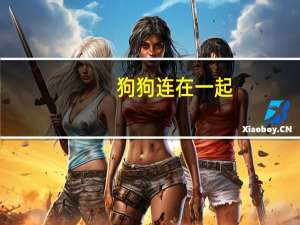 狗狗连在一起