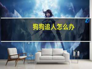 狗狗追人怎么办
