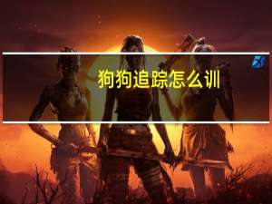 狗狗追踪怎么训