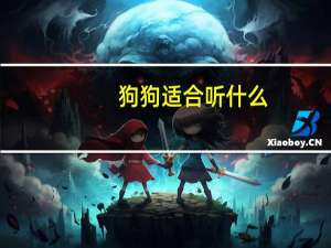 狗狗适合听什么