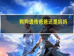 狗狗遗传爸爸还是妈妈