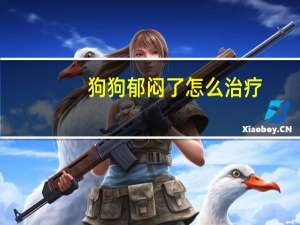 狗狗郁闷了怎么治疗