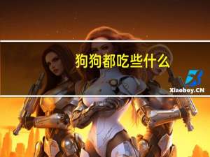 狗狗都吃些什么