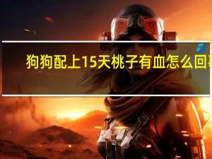 狗狗配上15天桃子有血怎么回事（狗狗刚刚配完桃子图片）