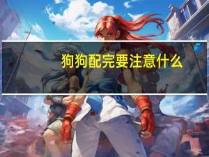 狗狗配完要注意什么