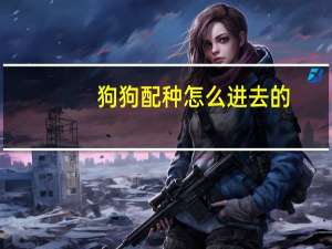狗狗配种怎么进去的
