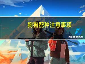 狗狗配种注意事项