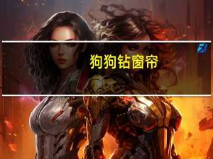 狗狗钻窗帘