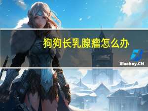 狗狗长乳腺瘤怎么办