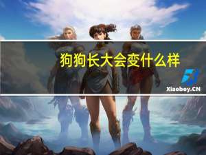 狗狗长大会变什么样