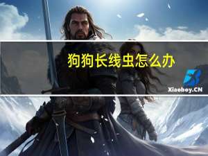 狗狗长线虫怎么办