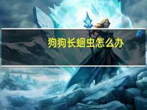 狗狗长蛔虫怎么办