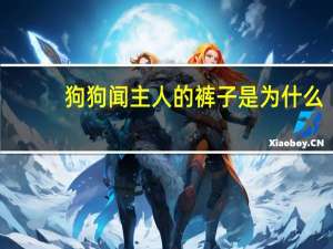狗狗闻主人的裤子是为什么