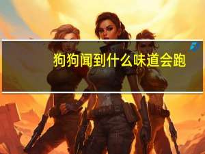 狗狗闻到什么味道会跑